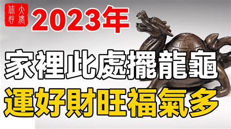 龍龜吃什麼|龍龜功效、龍龜寓意、龍龜禁忌、龍龜供養、龍龜擺放方式、龍龜。